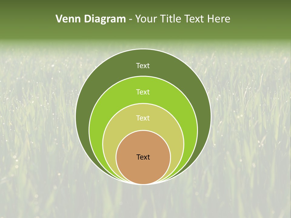 Celebratory Event Fill PowerPoint Template