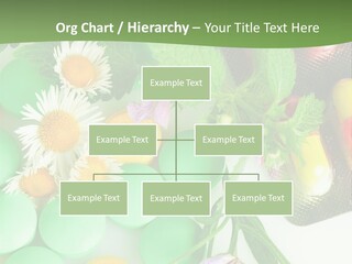 Pills And Flowers Powerpoint Template PowerPoint Template