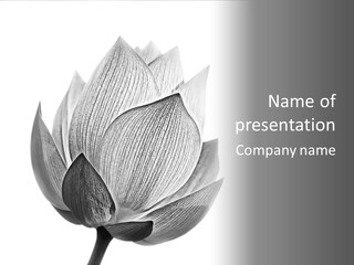 Flower Nature Bright PowerPoint Template