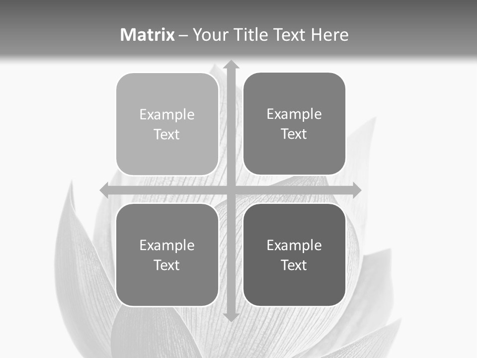 Flower Nature Bright PowerPoint Template