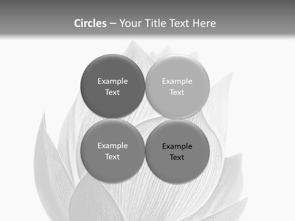 Flower Nature Bright PowerPoint Template