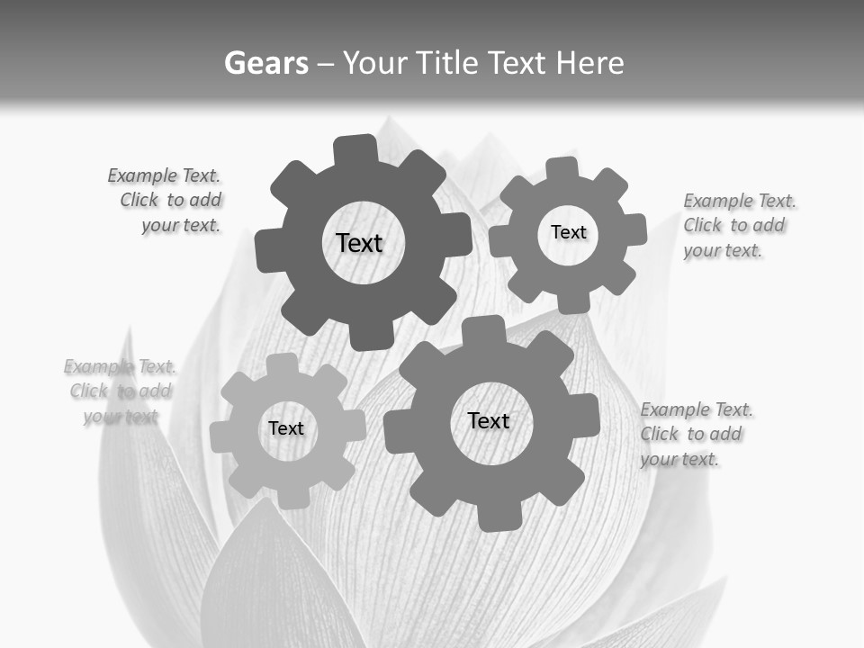 Flower Nature Bright PowerPoint Template