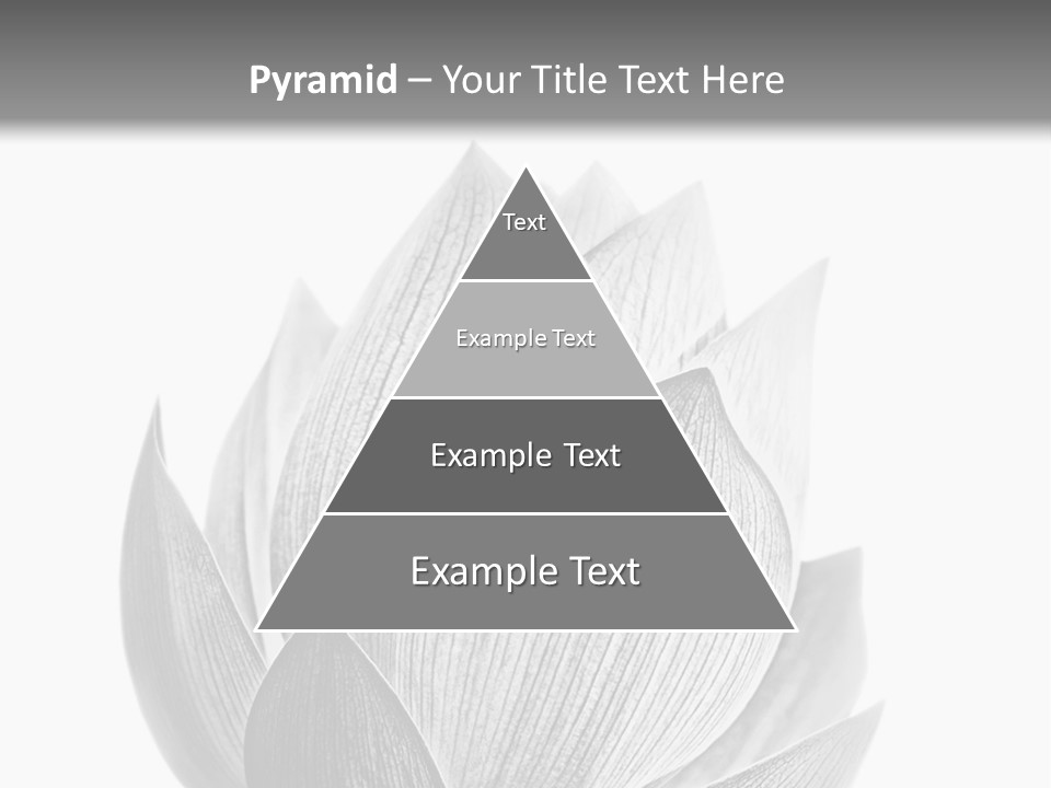 Flower Nature Bright PowerPoint Template