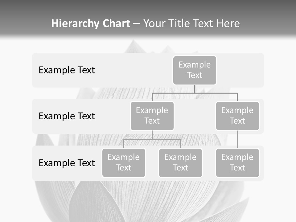 Flower Nature Bright PowerPoint Template