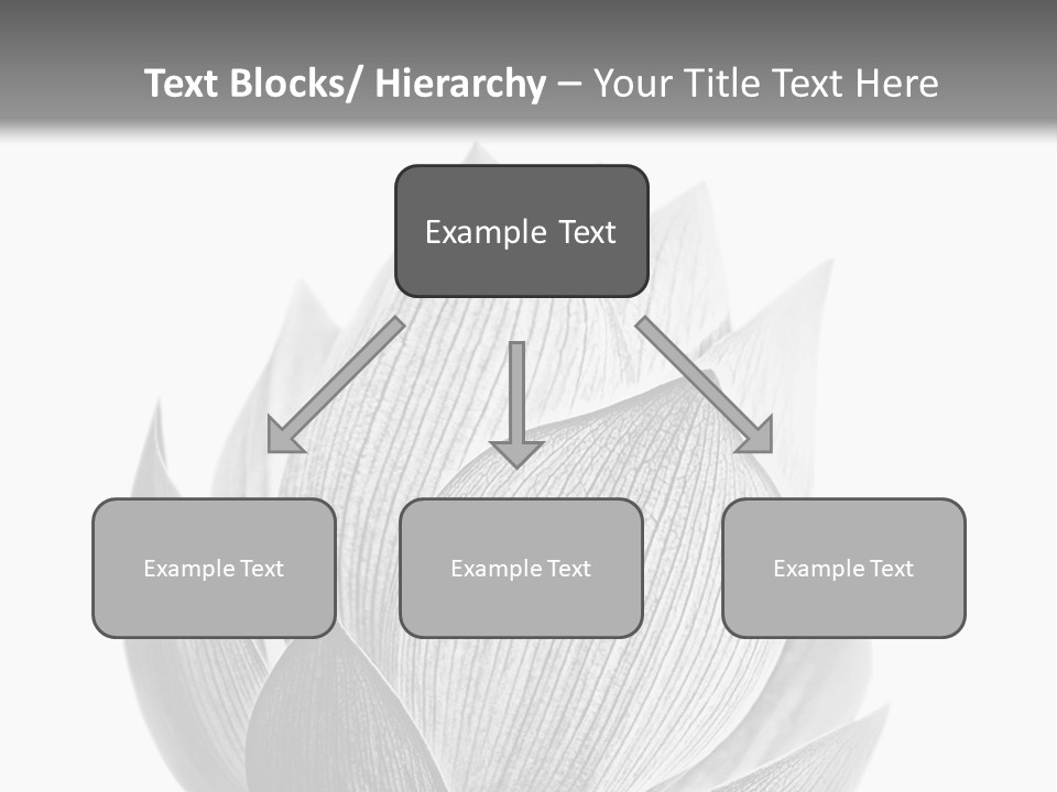 Flower Nature Bright PowerPoint Template