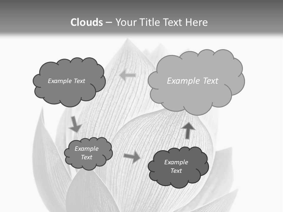 Flower Nature Bright PowerPoint Template