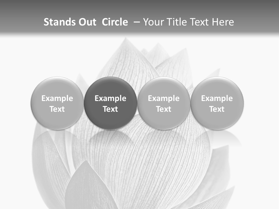 Flower Nature Bright PowerPoint Template