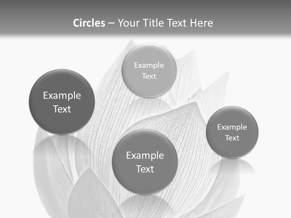 Flower Nature Bright PowerPoint Template