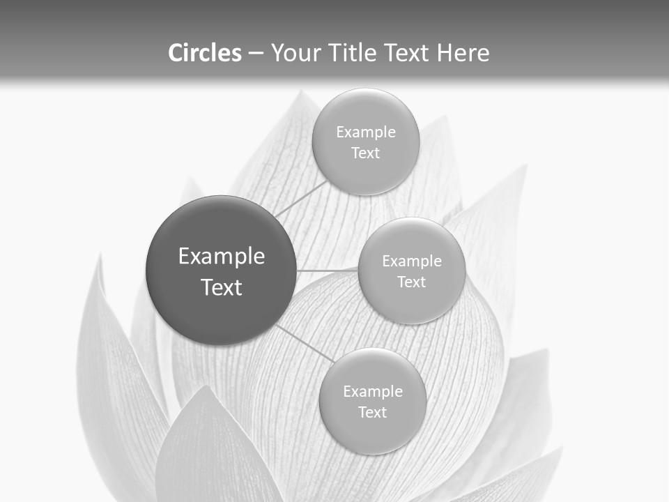 Flower Nature Bright PowerPoint Template