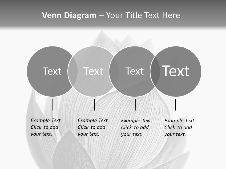 Flower Nature Bright PowerPoint Template