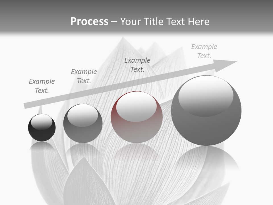 Flower Nature Bright PowerPoint Template