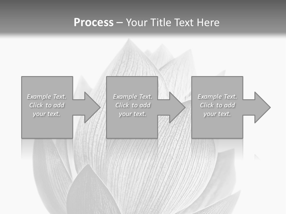 Flower Nature Bright PowerPoint Template
