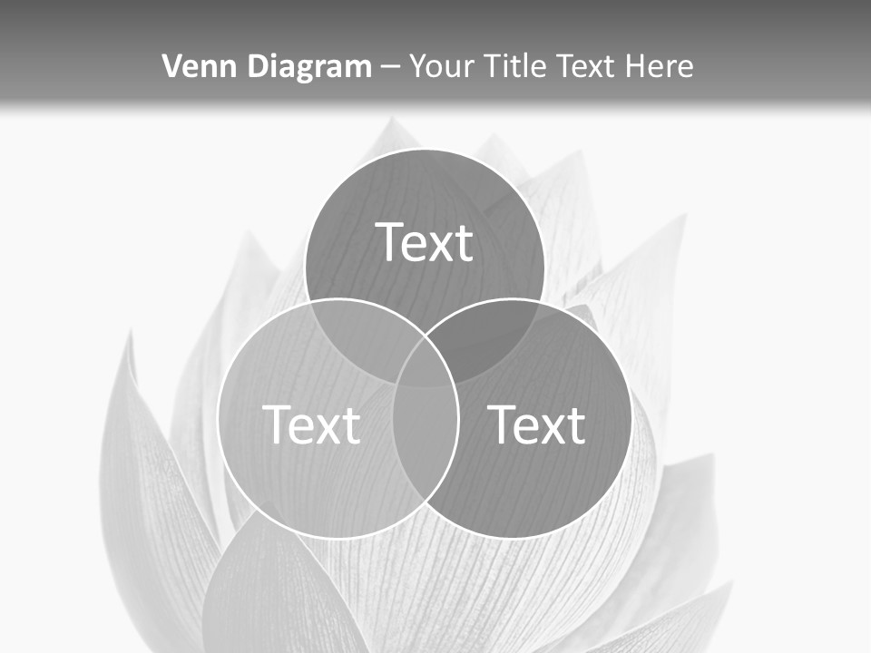 Flower Nature Bright PowerPoint Template