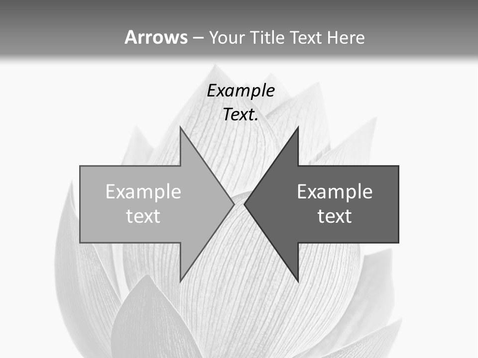 Flower Nature Bright PowerPoint Template