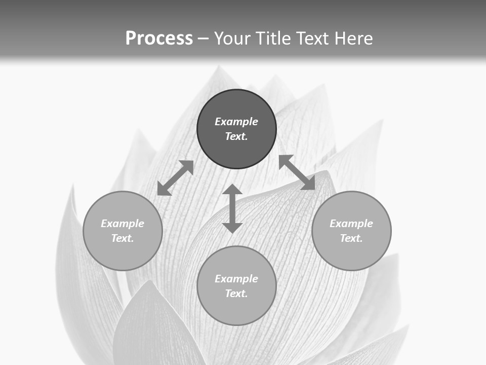 Flower Nature Bright PowerPoint Template