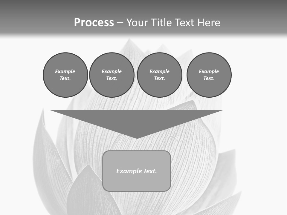 Flower Nature Bright PowerPoint Template