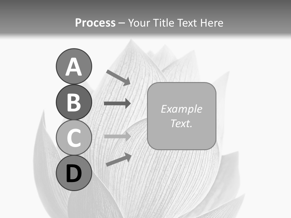 Flower Nature Bright PowerPoint Template