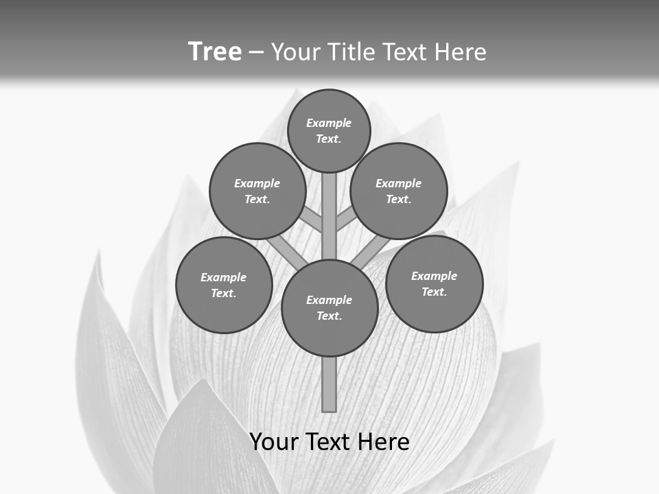 Flower Nature Bright PowerPoint Template