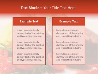 Breast Plate Grilled PowerPoint Template