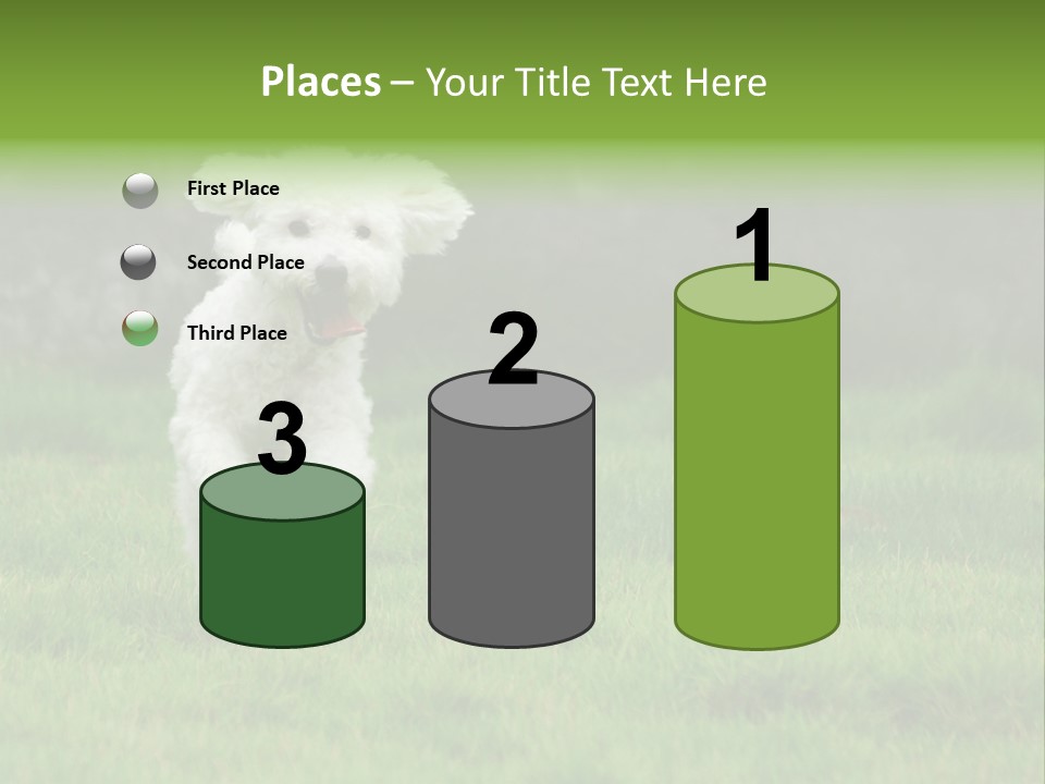 Dog Spring Gallop PowerPoint Template