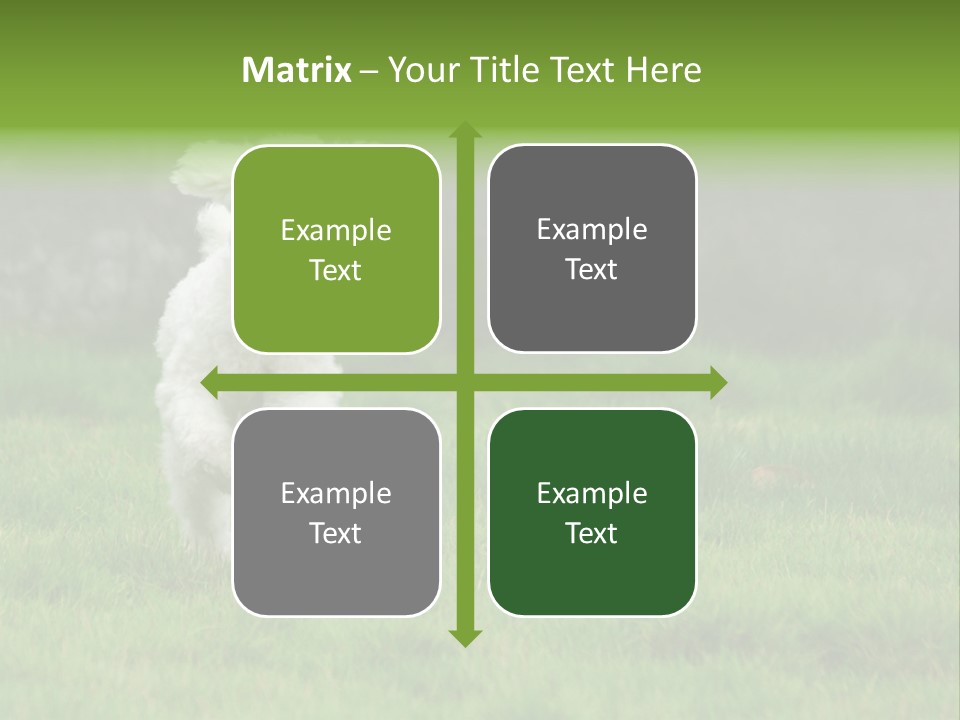 Dog Spring Gallop PowerPoint Template