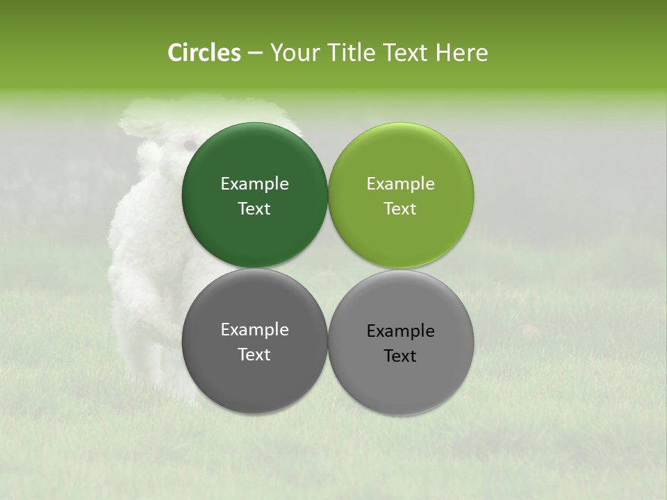 Dog Spring Gallop PowerPoint Template