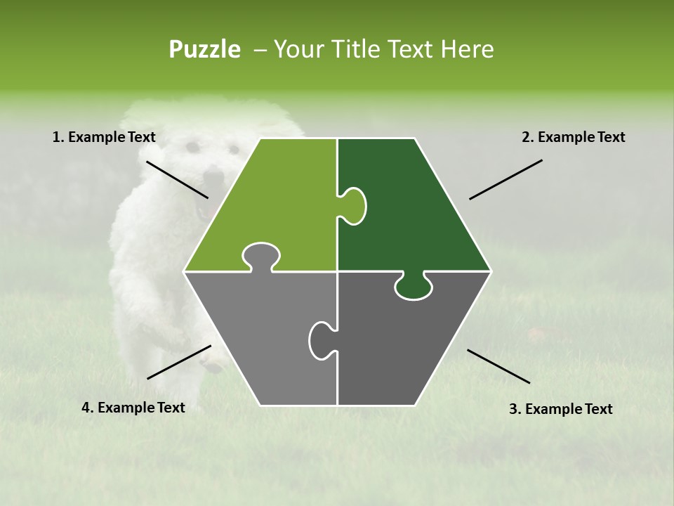 Dog Spring Gallop PowerPoint Template