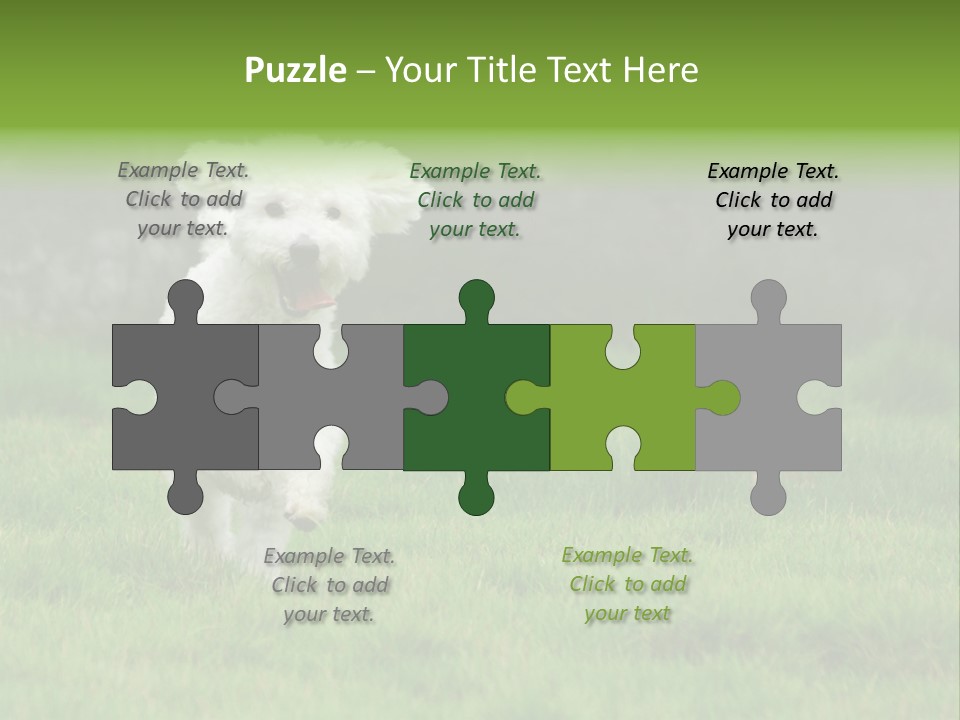Dog Spring Gallop PowerPoint Template