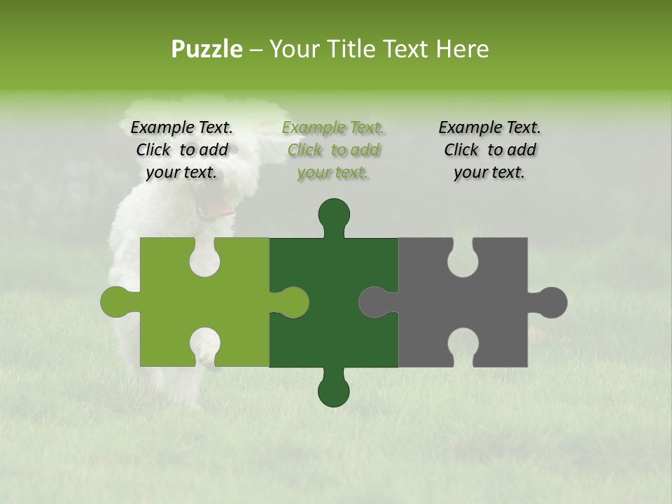 Dog Spring Gallop PowerPoint Template