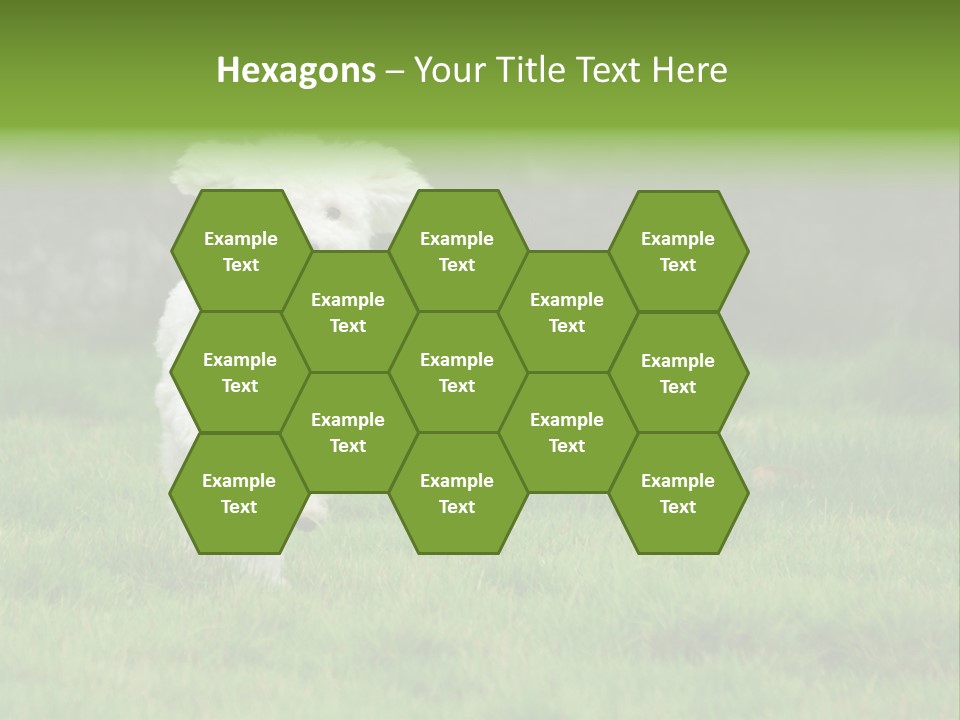 Dog Spring Gallop PowerPoint Template