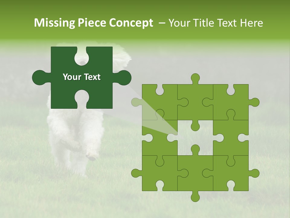 Dog Spring Gallop PowerPoint Template