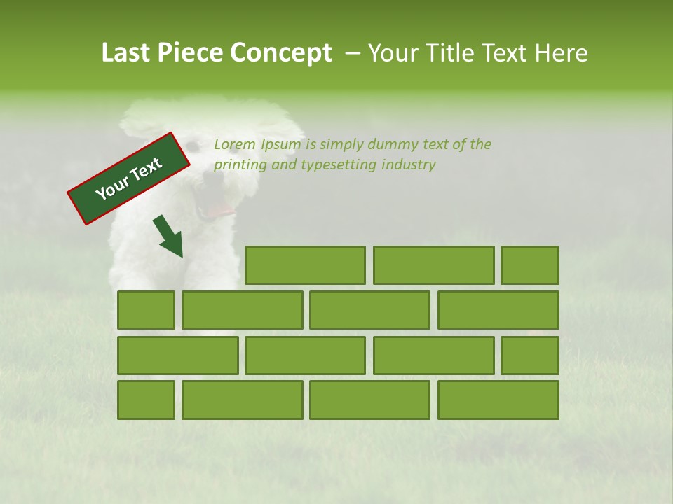 Dog Spring Gallop PowerPoint Template