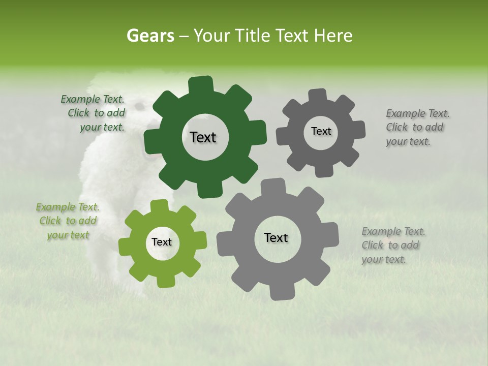 Dog Spring Gallop PowerPoint Template