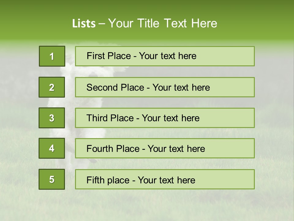 Dog Spring Gallop PowerPoint Template