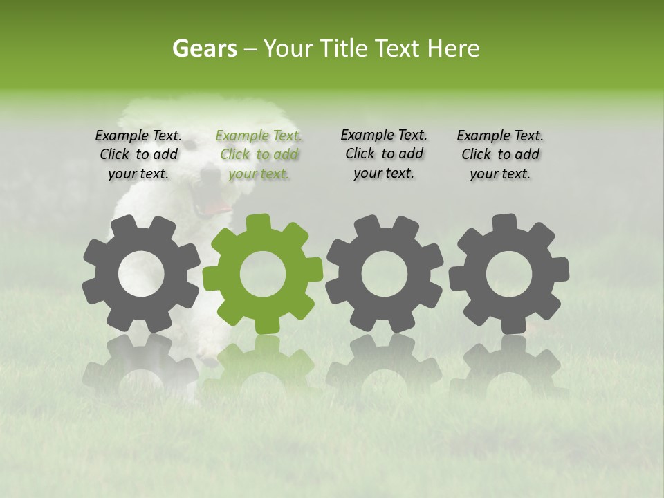 Dog Spring Gallop PowerPoint Template