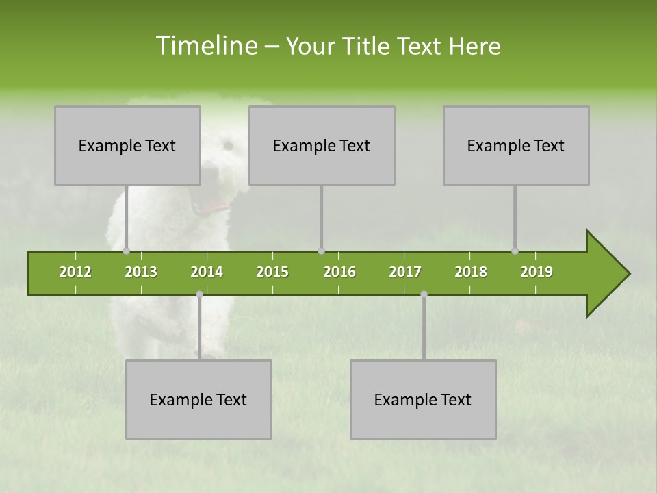 Dog Spring Gallop PowerPoint Template