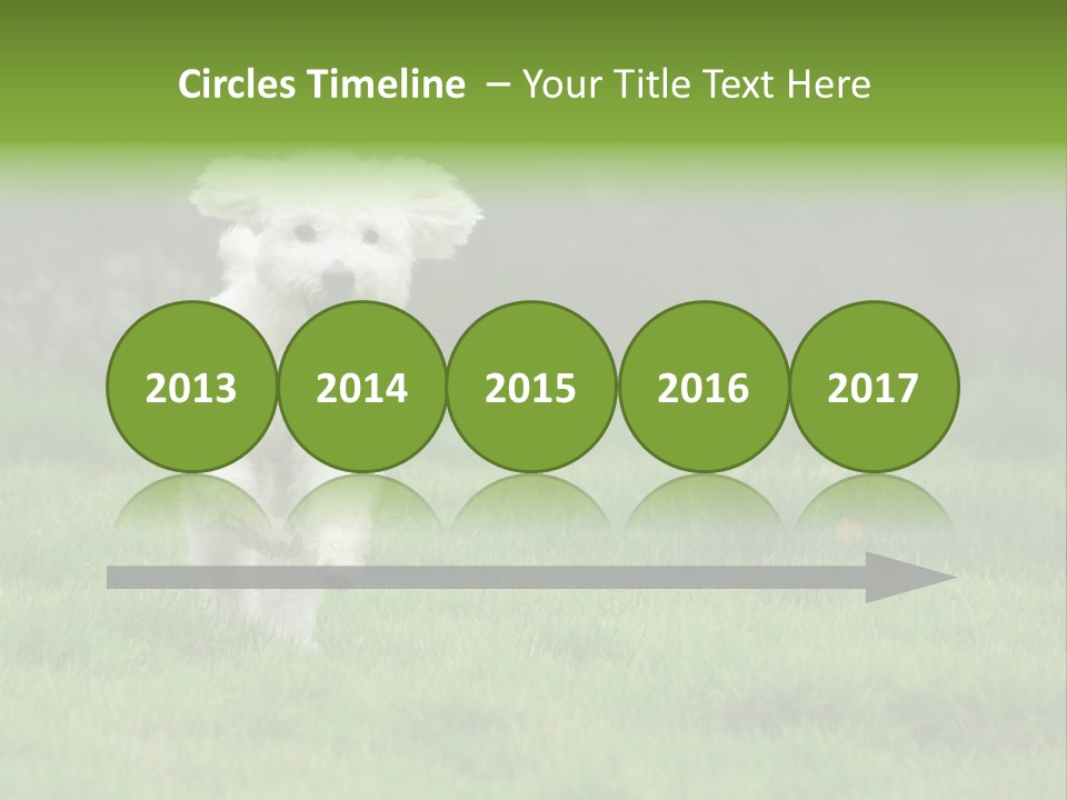 Dog Spring Gallop PowerPoint Template