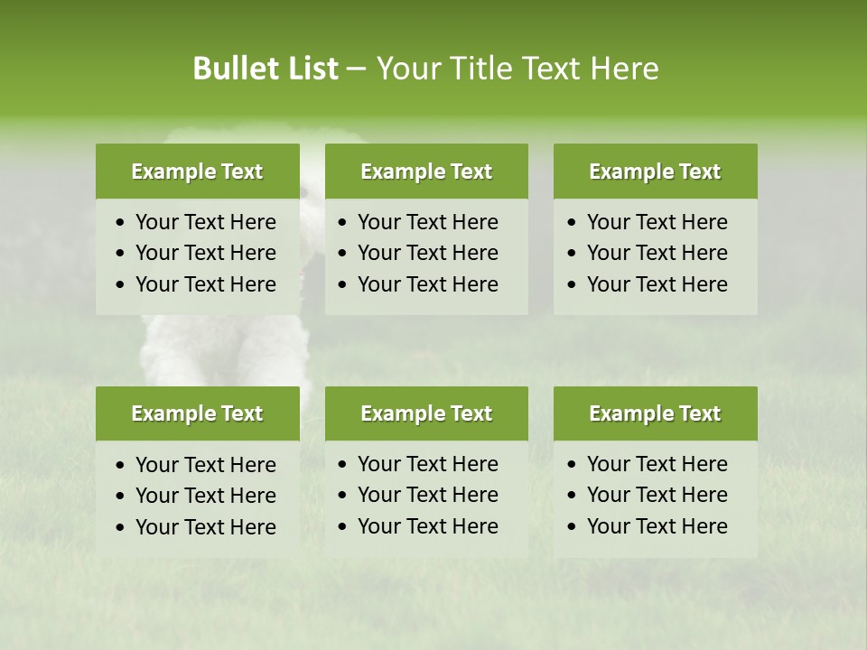 Dog Spring Gallop PowerPoint Template