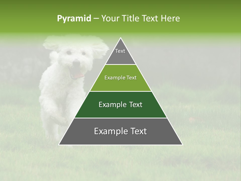 Dog Spring Gallop PowerPoint Template