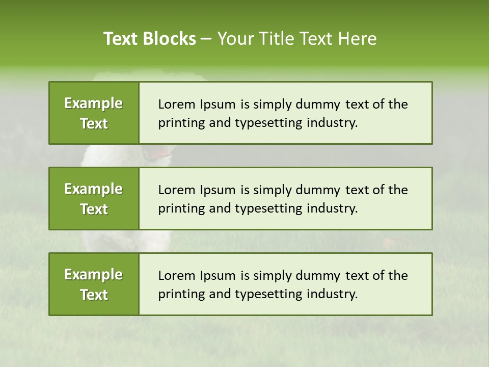 Dog Spring Gallop PowerPoint Template