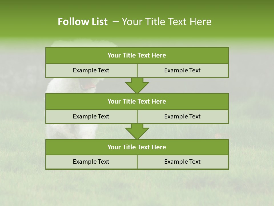 Dog Spring Gallop PowerPoint Template