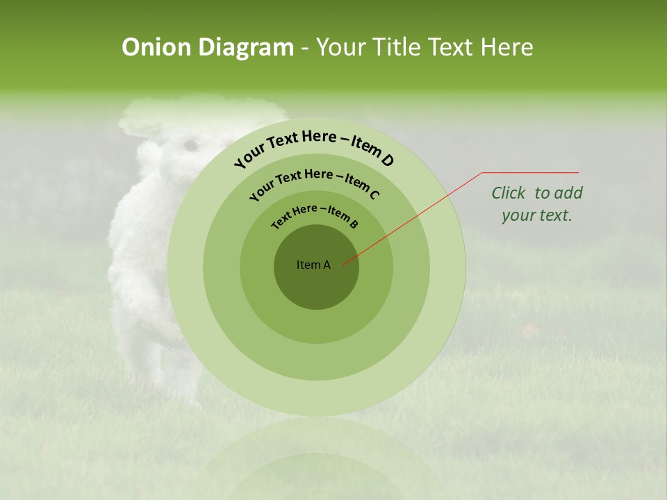 Dog Spring Gallop PowerPoint Template