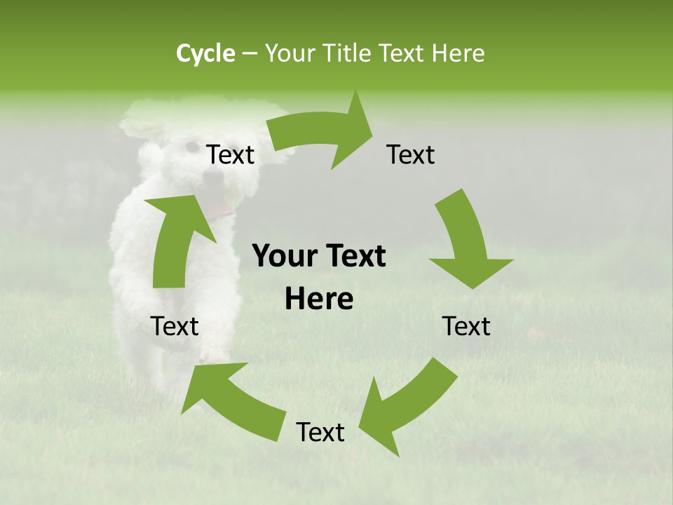 Dog Spring Gallop PowerPoint Template