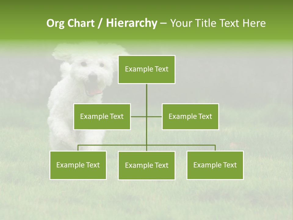 Dog Spring Gallop PowerPoint Template