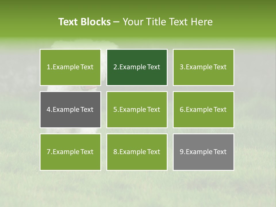 Dog Spring Gallop PowerPoint Template