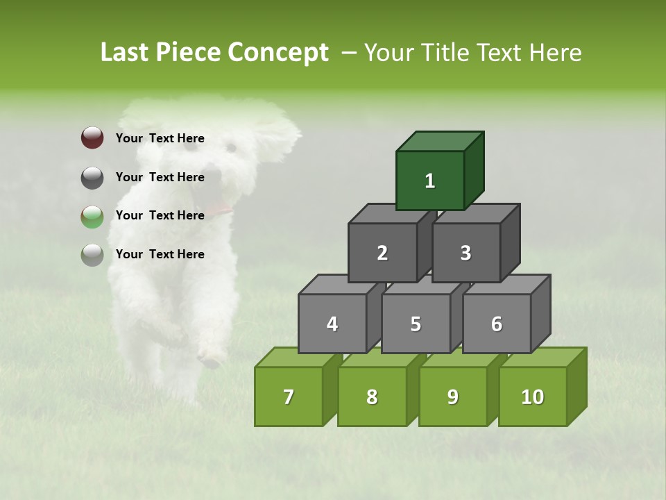 Dog Spring Gallop PowerPoint Template