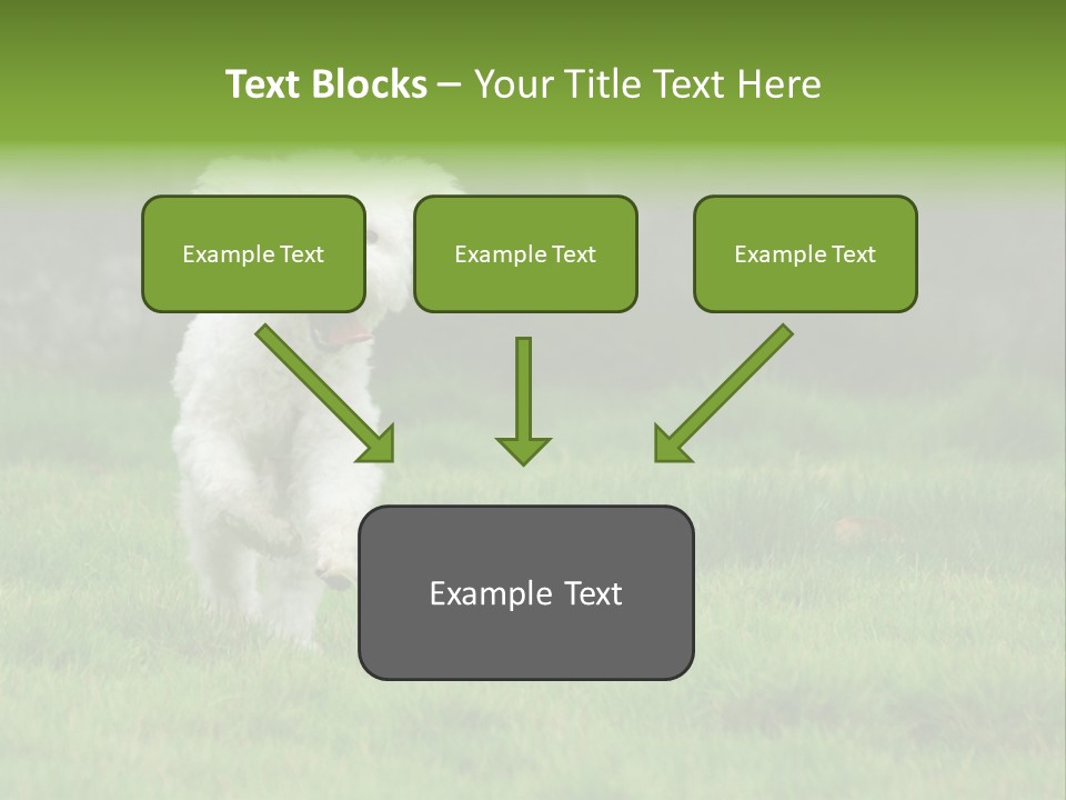 Dog Spring Gallop PowerPoint Template