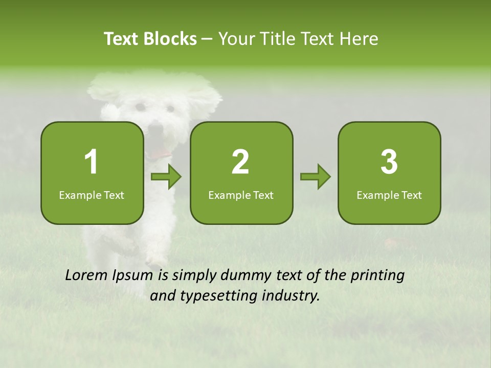 Dog Spring Gallop PowerPoint Template