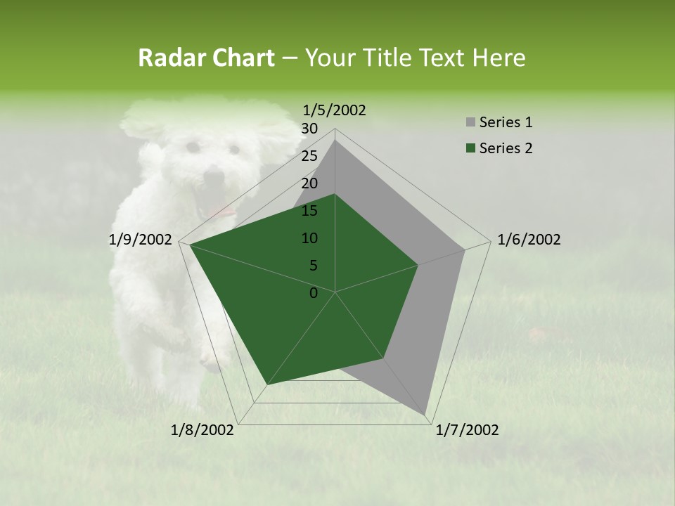 Dog Spring Gallop PowerPoint Template