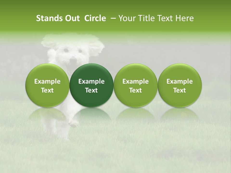 Dog Spring Gallop PowerPoint Template